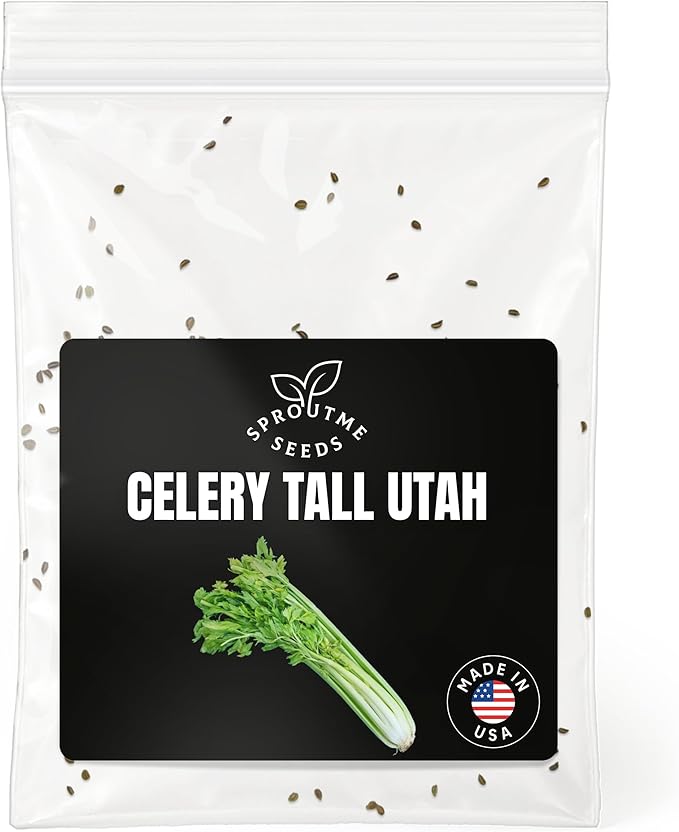Celery Tall Utah Seeds for Planting – 200+ Heirloom Celery Seeds, Crisp Stalks, Non-GMO, High Germination, Indoor & Outdoor Garden (Apium graveolens VAR. Dulce)