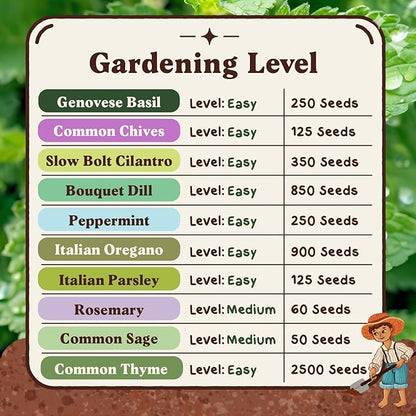 Seedboy Organic Non GMO 10 Herb Variety Pack: Basil, Cilantro, Mint, Oregano, Parsley, Thyme, Chives, Dill, Sage, Rosemary for Planting Indoor and Outdoor, USDA Certified (10 Herb Variety Pack)