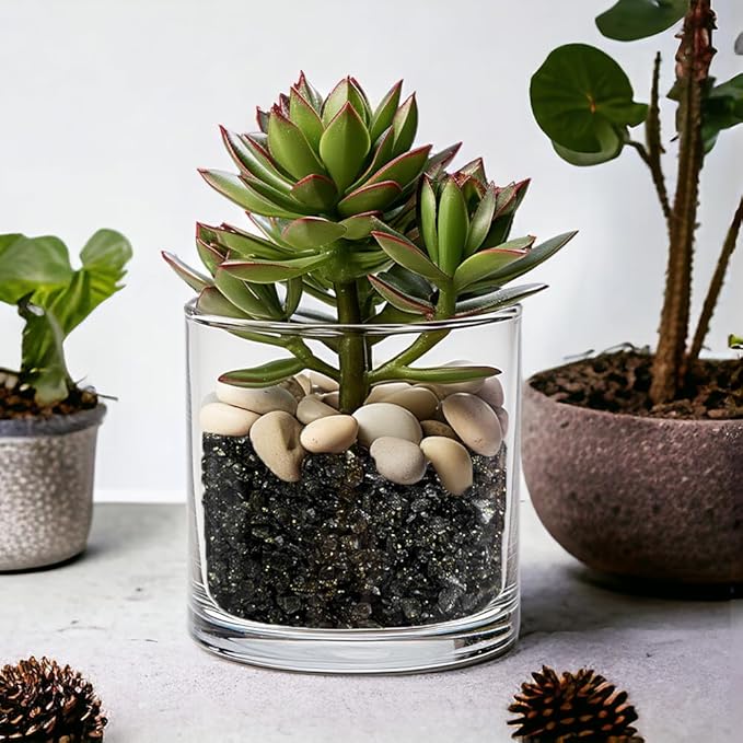 HappyFiller 1.3 LB Crushed Glass Sand Broken Pieces Grey Mix with Glitter for Resin Arts Crafts, Succulent Planter Soil Cover,Vase Fillers,Candle Holder Decor,Terrarium Small Pebbles Stones