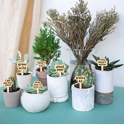 arricraft 15 Pcs Joke Punny Plant Labels, Wooden Markers T Type Tags Garden Labels with Printed Funny Phrase Wood Garden Stakes for Indoor and Outdoor Potted Seed Vegetable Unique Funny Gifts