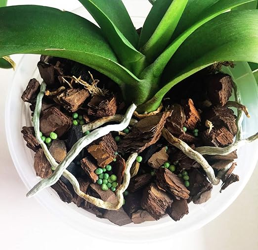 Orchid Plant Food - Bloom Booster - Slow Release Fertilizer (6 Month),5 oz, 50+ Applications for All Orchid Types for Healthy Flower & Reblooms
