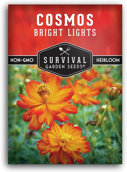 Survival Garden Seeds Bright Lights Cosmos Seed for Planting - 1 Packet with Instructions to Grow Cosmos Sulphureus in Your Home Flower or Vegetable Garden - Non-GMO Heirloom