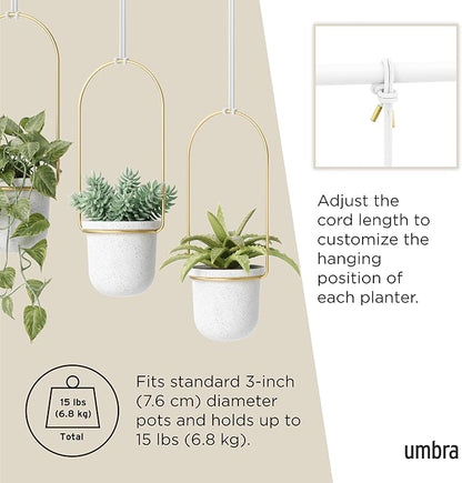 Umbra Triflora Hanging Planter for Window, Indoor Herb Garden, Set of 3, White/Brass