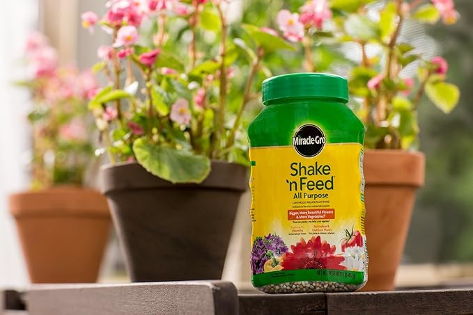 Miracle-Gro Shake 'n Feed All Purpose Continuous Release Plant Food, 1-Pound (Slow Release Plant Fertilizer)