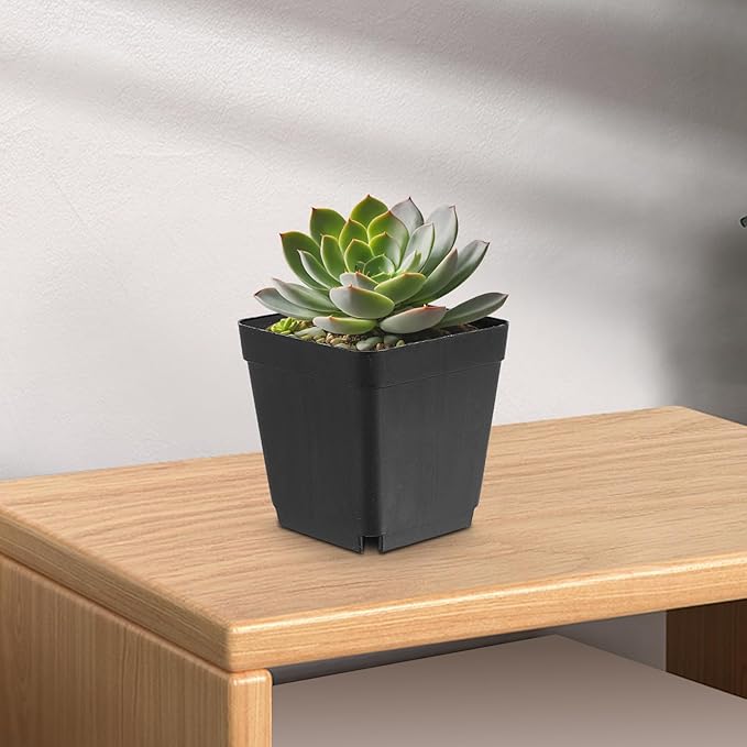 150PCS 4 Inch Square Nursery Plant Pots, Plastic Plant Seedling Pots with Drainage Holes, Black Plant Seedling Pots for Starting Seedlings or Garden Plant