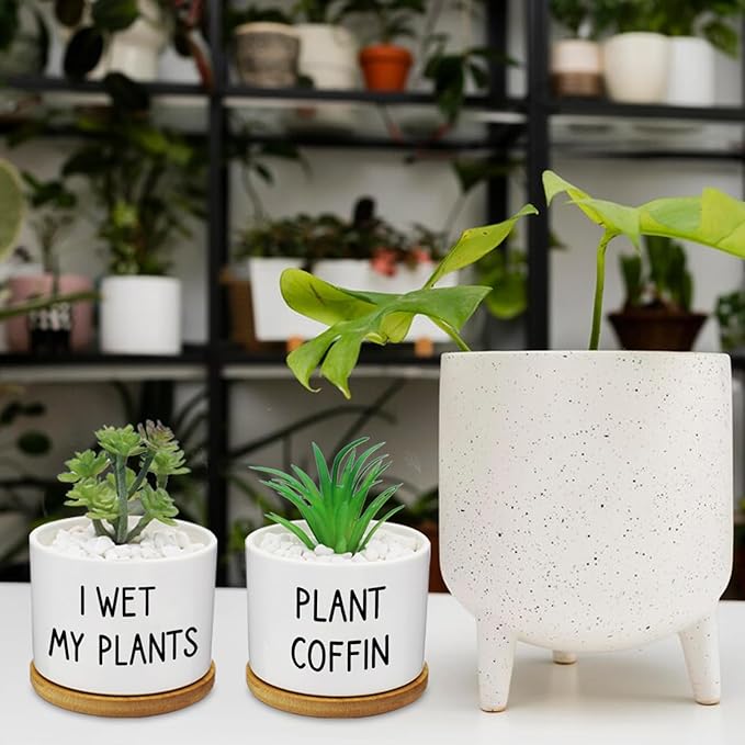 12 Pcs Funny Succulent Pots with Bamboo Tray White Ceramic Aloe Cactus Plant Pots Funny Plant Pots for Women Coworker Employee