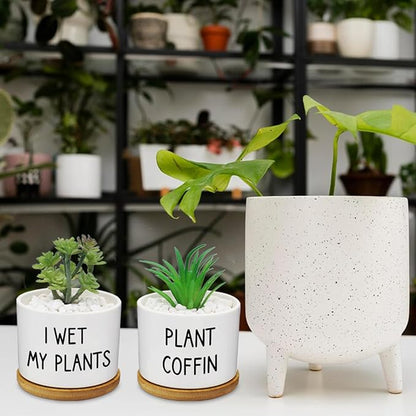 12 Pcs Funny Succulent Pots with Bamboo Tray White Ceramic Aloe Cactus Plant Pots Funny Plant Pots for Women Coworker Employee