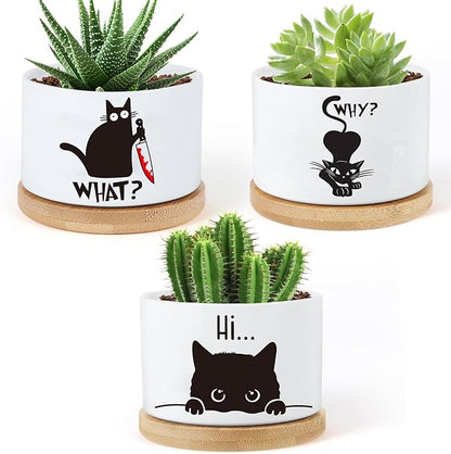 3 Pcs Cat Ceramic Plant Pots,Funny Cat Planter Gifts for Women,for Indoor Plants Garden Planters Succulent Pots, with Drainage Holes and Saucer(No Plants)