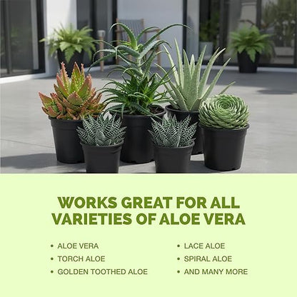 Aloe Vera Fertilizer for All Aloe and Succulent Plants, Liquid Plant Food 8 oz (250mL)