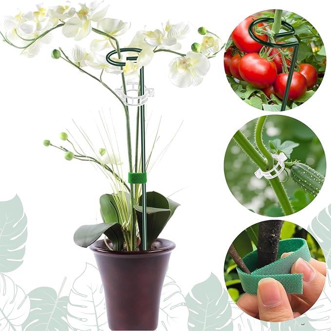 6 Pack 24 Inch Plant Support Stakes,Extendable Plant Stakes,Orchid Sticks with Clips for Indoor Outdoor,Garden Stakes for Plant,Tomato,Vegetables,Monstera.Plant Support Stakes for Two Sizes12 or 24 In