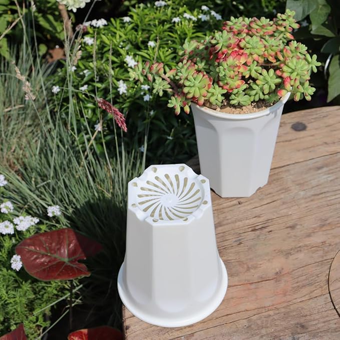 BangQiao 8 Pack 6.10 Inch White Plastic Deep Nursery Pot and Seedling Planter for Succulent, Cutting, Transplanting