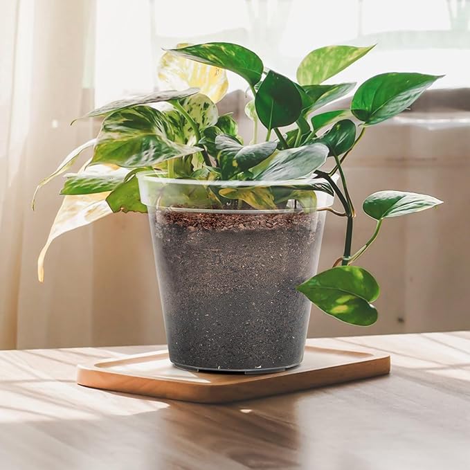 GREANER Nursery Pots for Plants, 4/5/6/7/8/9 Inch Reinforced Clear Plant Pots with Drainage Holes and 20 Pcs Plant Labels, Transparent Variety Pack Seedling Planter for Indoor Outdoor
