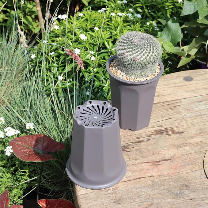 BangQiao 10 Pack 5.30 Inch Plastic Deep Nursery and Seedling Pots, Round Transplant Seed Starter Planter, Gray Color