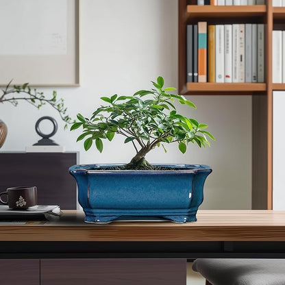 Bonsai Pots 11.6 Inch - Ceramic Succulent Pots with Drainage Hole, Rectangular Planter for Indoor Outdoor, Decorative Ceramic Flower Pot, Home Garden Room Decor, Plant Lover Gifts, Retro Blue