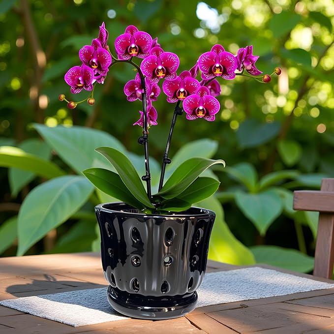 Ceramic Orchid Pot with Attached Saucer and Drainage Hole 6'' Orchid Planter (Black)