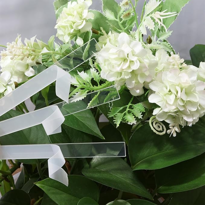 CHGCRAFT 60 Pcs Clear Blank Ground Identifier Tag Double Sided Laminating Plant Identifier Marker Garden Identification Label Ground Identifier Tag Acrylic Plant Marker