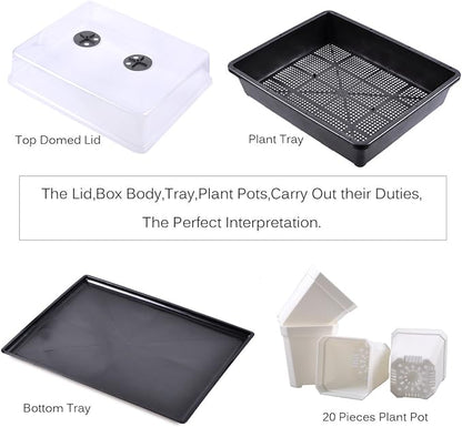 eZAKKA 37x30cm Seed Starter Tray Seedling Starter Kit Planting Propagation Trays Germination Kit Humidity Dome with 20 Pieces Square Seed Starter Pots (White Pots)