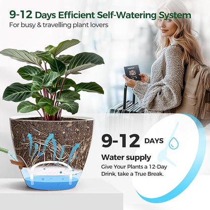 T4U 2 Pack 8 Inch Self Watering Pots - Water Level Indicator & Deep Reservoir, Mess-Free Planter for Busy People, Beginners & Gardeners, Pothos/Herbs/Snake Plants, Indoor Outdoor Use (White)