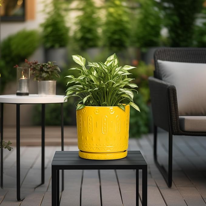 8 Inch Plant Pot, Ceramic Pots for Plants with Drainage Hole and Sacuer, Round Flower Pots for Indoor Outdoor Plants, Modern Decorative Planter, Table Decor, Plant Gifts for Women, Yellow