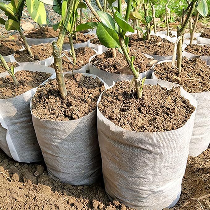 100PCS Plant Grow Bags, Non-Woven Plant Nursery Bags Fabric Seedling Pots for Garden