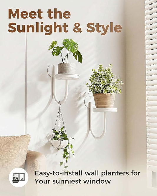 Leaf&lull Wall Plant Holder Planter with Wall Planters for Indoor Plants Plant Hanger Hanging Plant Holder Wall Hanging Decor 2 Pack White