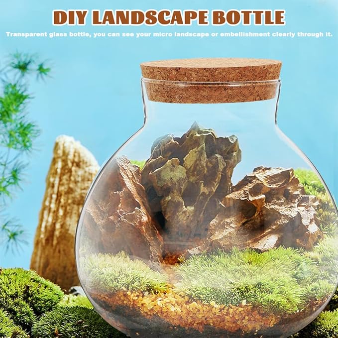 2Pcs Airtight Glass Terrarium Bottles 5.11 Inch Round Sealed Planters with Cork Lid for Succulent Plants Micro Landscape Home Decor