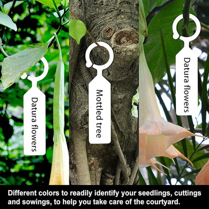 Plant Labels 100 Pcs Plastic Hanging Labels for Plant Tree Nursery Seedling Tags Stakes Markers Reusable(White)