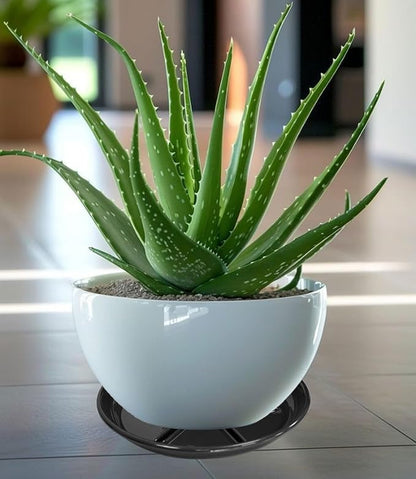 6 Pack of Plant Saucer 10 inch, Heavy Duty Pot Saucers for Plants, Plant Drip Trays for Indoors Outdoor, Plant Water Tray for Planters, Black