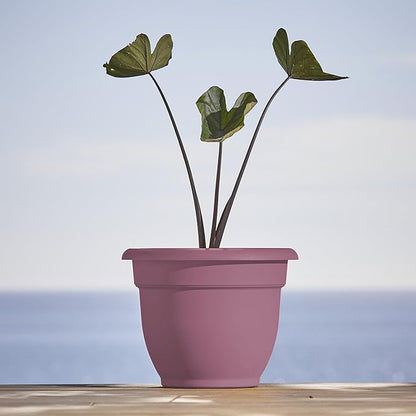 Bloem Ariana 10" Dusty Rose Round Self-Watering Resin Planter Pot - Rolled Rim Indoor and Outdoor Gardening Planter