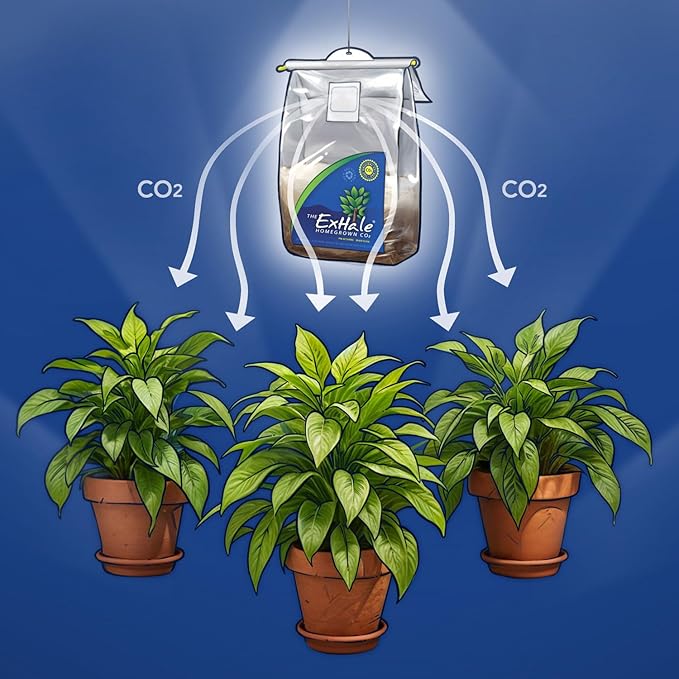Exhale Homegrown CO2 XL 365 - Self-Activated CO2 Bags for Indoor Grow Rooms & Grow Tents - Foliage Mushroom Bags (2 Pack)