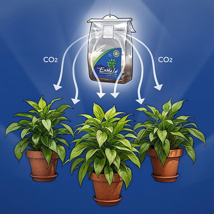 Exhale Homegrown CO2 XL 365 - Self-Activated CO2 Bags for Indoor Grow Rooms & Grow Tents - Foliage Mushroom Bags (2 Pack)