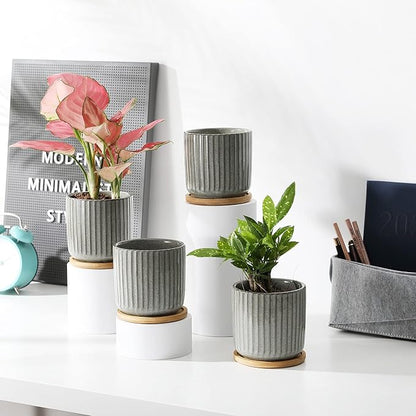 TAMAYKIM 4 Inch Cylinder Ceramic Plant Pots with Drainage Holes & Saucers, Vertical Glazed Green Grey Small Boho Planters with Trays for Indoor Flower, Snake Plants, Succulent, Cactus, Set of 4