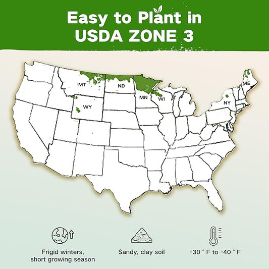 Lush&Dew USDA Zone 3 Seed Bank, Gardening Gifts for Women Men, 32 Varieties Non-GMO Heirloom Seeds for Planting Vegetables Fruits, Year Round Survival Seed Kit for Raised Garden Bed Greenhouse