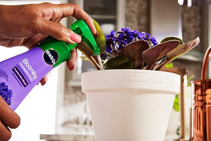 Miracle-Gro Blooming Houseplant Food, 8 oz., Plant Food Feeds All Flowering Houseplants Instantly, Including African Violets, 2 Pack