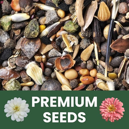 Zinnia ‘Cut and Come Again’ – 750 Seeds for Planting – 5 Gram Pouch