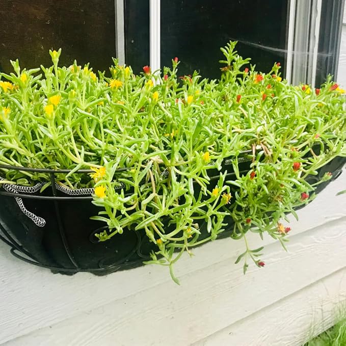 24 Inch Fabric Trough Coco Liner Replacement for Window Basket Flower Planter - 24" Coconut Coco Fiber Alternative for Hanging Basket Planters. Use 3+ Seasons - Made in The USA!