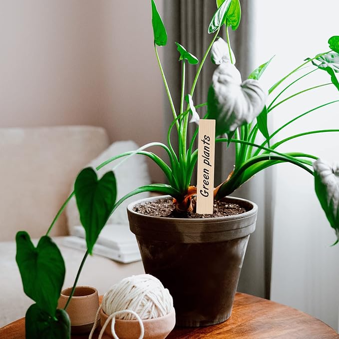 KINGLAKE GARDEN Wooden Plant Labels, 50 PCS 6 Inch Pointed Wooden Plant Sign Tags,Garden Tags Markers for Seed Potted Herbs Flowers Vegetables with Permanent Marking Pen(15 x 2cm)