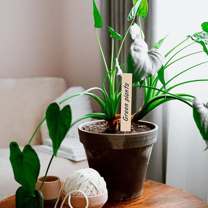 KINGLAKE GARDEN Wooden Plant Labels, 50 PCS 6 Inch Pointed Wooden Plant Sign Tags,Garden Tags Markers for Seed Potted Herbs Flowers Vegetables with Permanent Marking Pen(15 x 2cm)