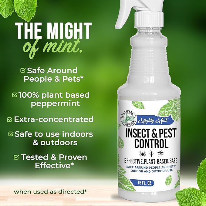 Mighty Mint Peppermint Oil Insect Repellent Spray – Indoor & Outdoor Bug Control for Spiders, Ants, Roaches, and More – Plant-Based, Extra-Strong Formula - 16 oz