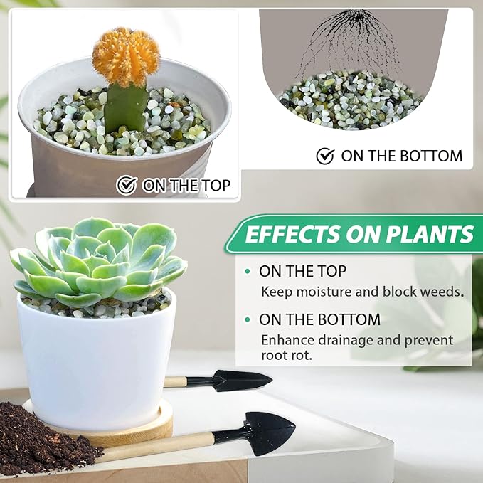 Succulent Rocks for Plants Tiny Pebbles for Planters 7.8LB Pea Gravel Bulk Course Sand Soil Small Decorative Stones for Indoor Bonsai Pots Cactus Top Dressing Aquarium Garden Landscape, Green