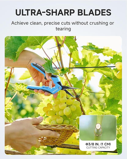 Fondwell 6.5" Pruning Shears Trimming Scissors: 2 Pack of Non-Stick Gardening Scissors - Reliable Garden Snips for Managing Small Plants