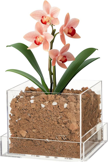 Clear Plant Nursery Pots Acrylic Orchid Pots with Drainage Holes and Tray Transparent Planter for Indoor Plants, Succulents, Herb, Flowers and Cactus Decorative(6 Inches,Square)
