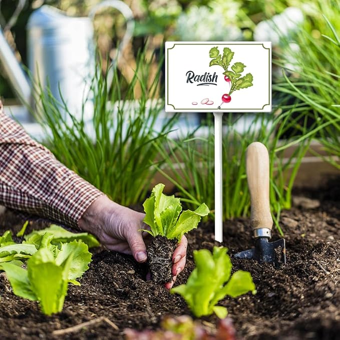 Boylee Vegetable Signs With Stake Radish Garden Signs For Vegetables Herb Garden Signs Garden Name Stakes For Plants 8x12inch Outdoor Indoor Herbs Flowers Potted Plants