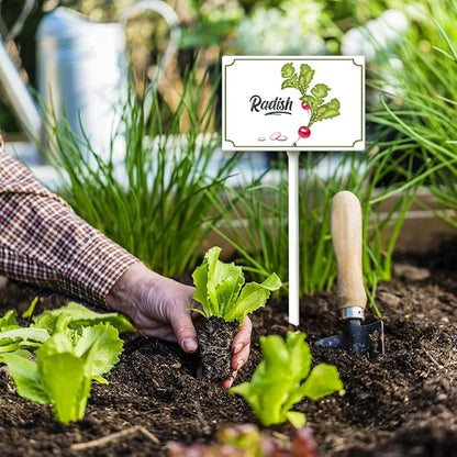 Boylee Vegetable Signs With Stake Radish Garden Signs For Vegetables Herb Garden Signs Garden Name Stakes For Plants 8x12inch Outdoor Indoor Herbs Flowers Potted Plants