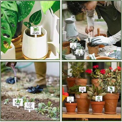 arricraft 15 Pcs Acrylic Plant Label Signs, Herbal Themed Waterproof Garden Stake Labels T-Shaped Plant Marker with Herbal Names for Indoor Outdoor Potted Plants Nursery Marker Decoration