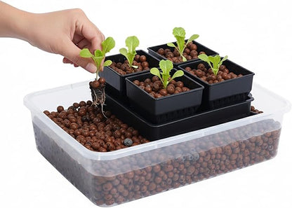 Seed Starter Pots with Tray, 8 Cell Reusable Square Nursery Pots for Seedlings with Drainage Holes, Indoor Outdoor Plastic Gardening Containers for Herbs, Flowers & Vegetables (Black)