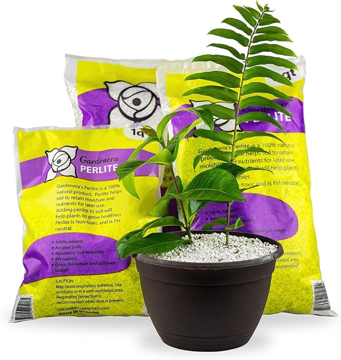 Premium Organic Perlite - (Made in Ukraine) Horticultural Soil Amendment for Indoor & Outdoor Container Plants for Drainage Management and Enhanced Growth - 1 Quart