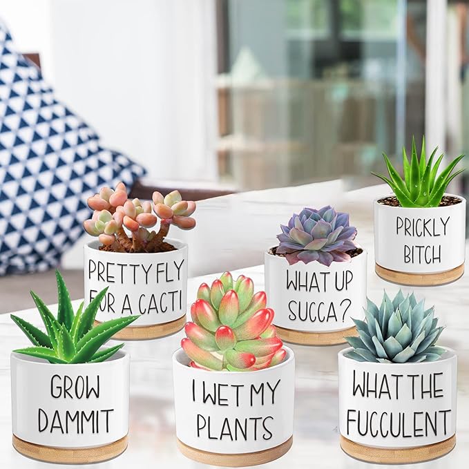 Succulent Pots 6 Pack, 3.15” Ceramic Funny Succulent Planters with Drainage and Bamboo Tray, Small Plant Pots with Plant Labels for Indoor Outdoor Plant, Birthday Gifts for Women - Plants Not Included