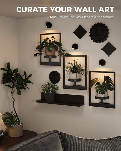 Bamworld Hanging Planters for Indoor Plants Wall Decor Living Room Plant Stand Indoor Wall Planters Plant Hanger Window Plant Shelves 3-Packs with Lights