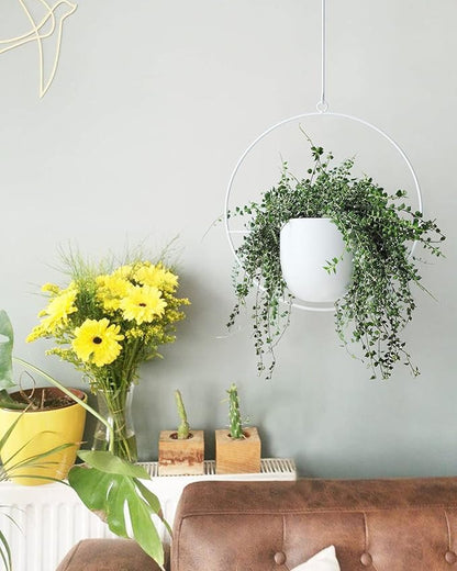 Hanging Planter Indoor Modern Boho Plant Pot Metal Wall and Ceiling Plant Holder, Mid Century Minimalist Flower Pot for Hanging Plants(White)